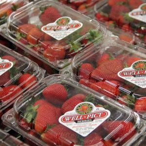 Custom Fruit & Product Labels